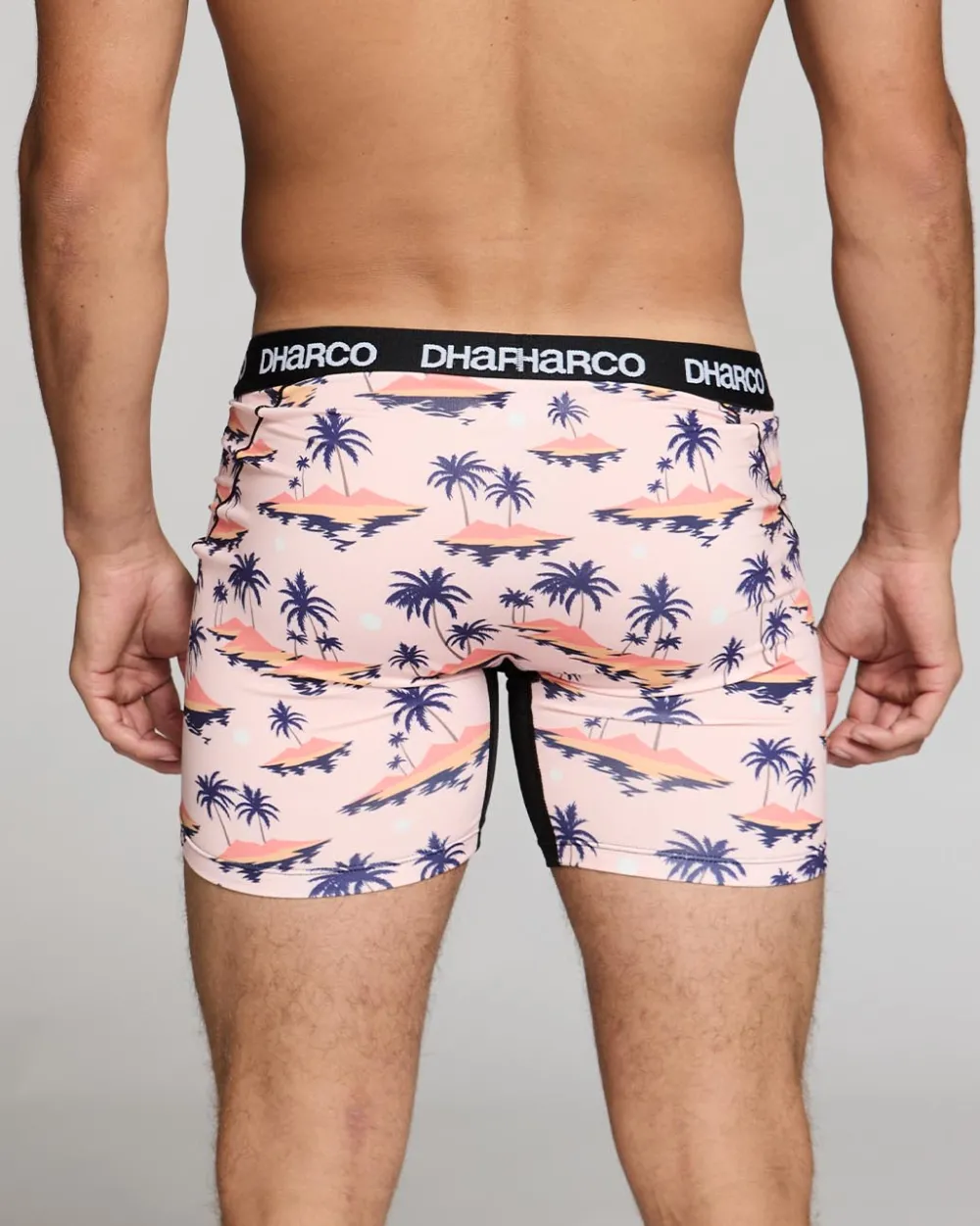 DHaRCO Bottoms*Mens Boxer Brief 6" | Leroy